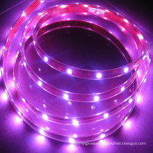 Waterproof RGB LED Strip with CE